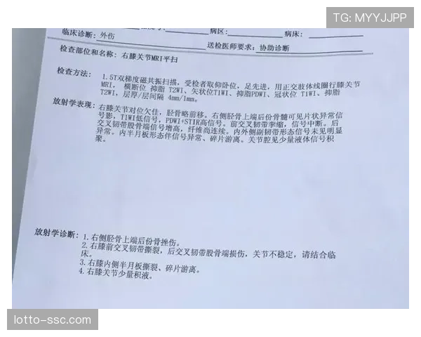 山东泰山西雷桑左膝半月板韧带损伤,归期未定 山东泰山西雷桑左膝半月板韧带损伤,归期未定